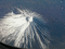 f:id:gae:20050428075526j:image:small