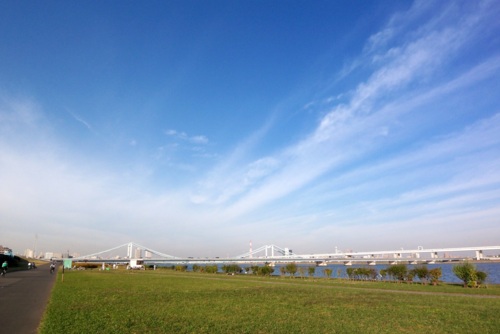 f:id:gae:20081102151022j:image