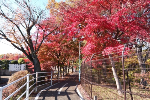 f:id:gae:20081130133618j:image