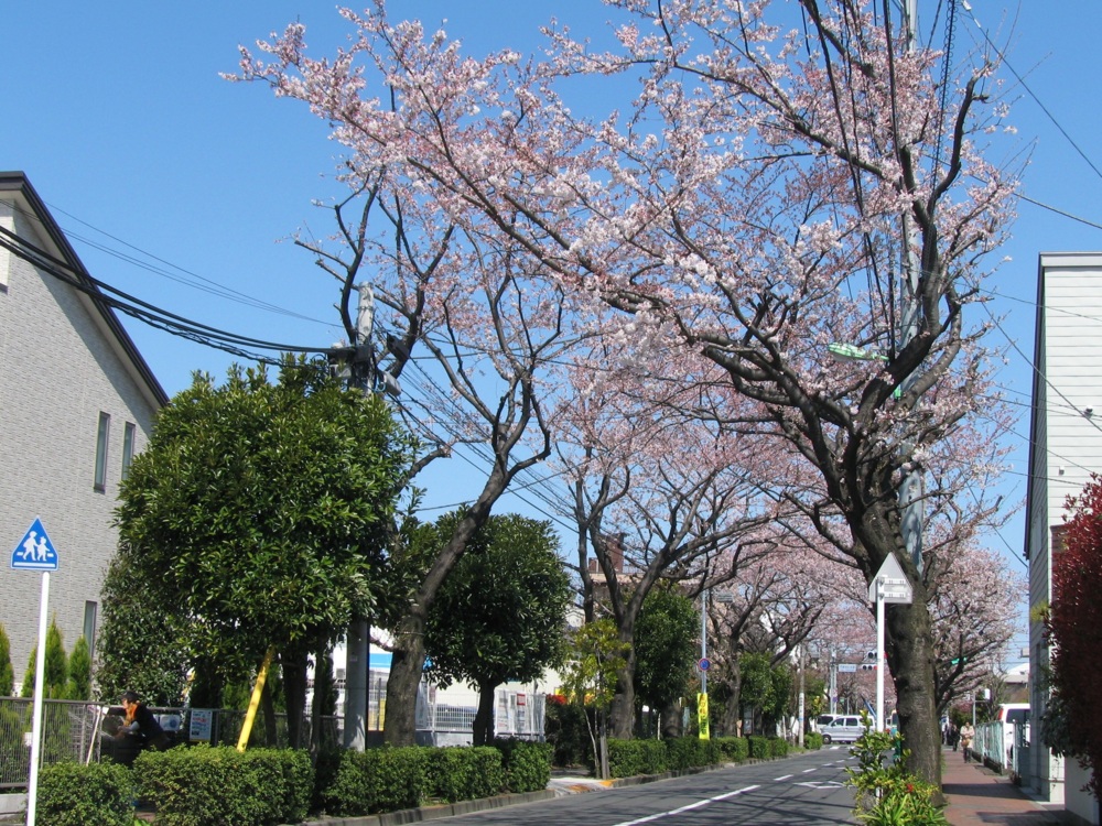 f:id:gae:20090402115128j:image:w500