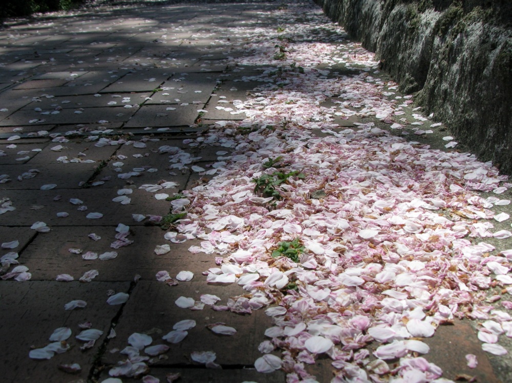 f:id:gae:20090410105107j:image:w500