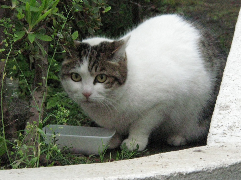 f:id:gae:20090418174859j:image:w500