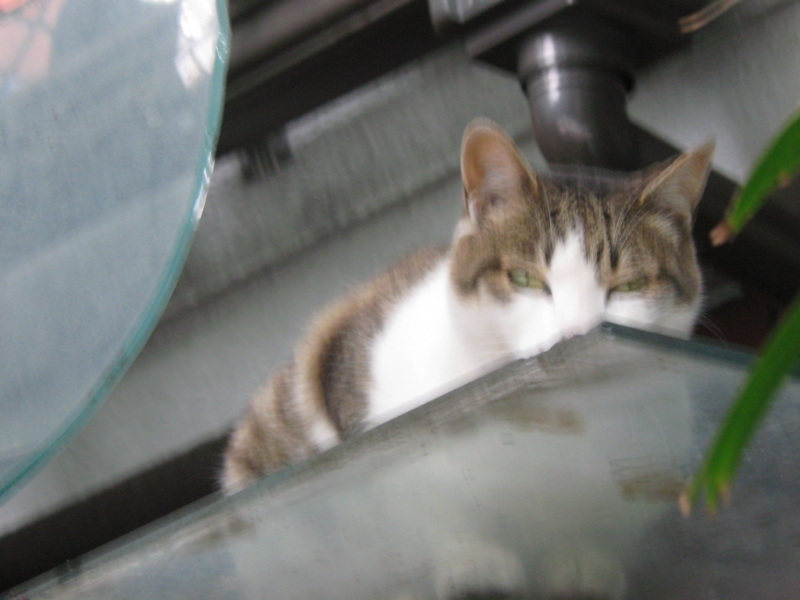 f:id:gae:20090717102847j:image:w400
