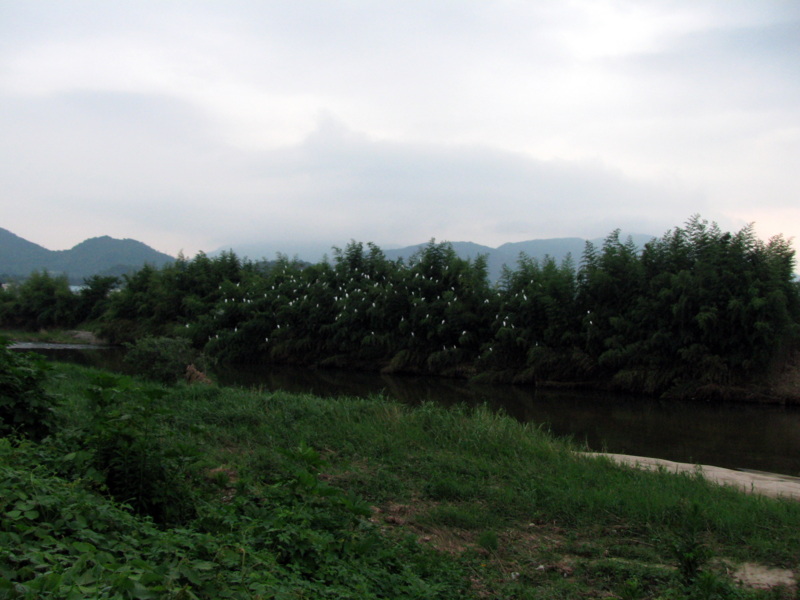 f:id:gae:20090815190039j:image:w400