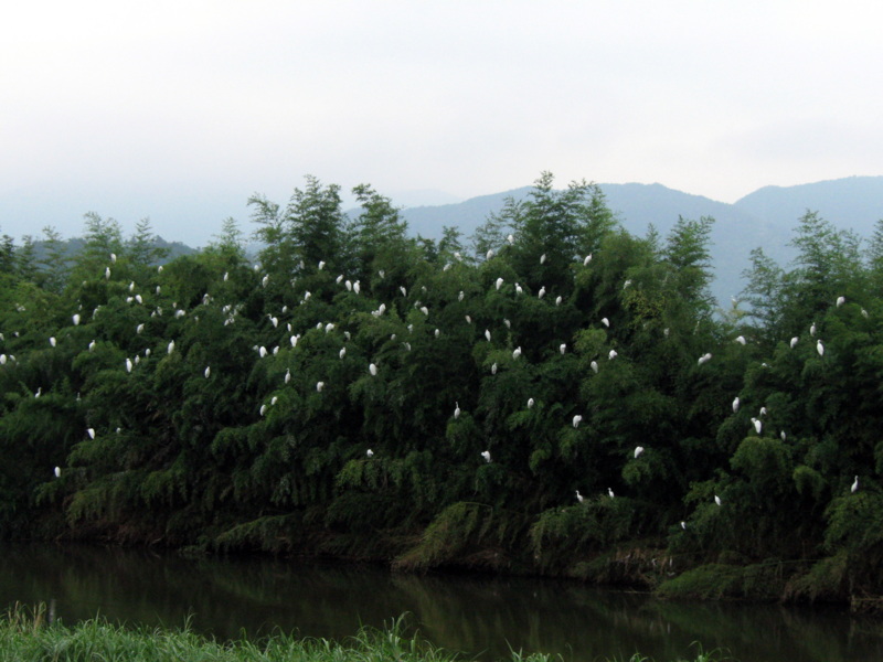 f:id:gae:20090815190050j:image:w400