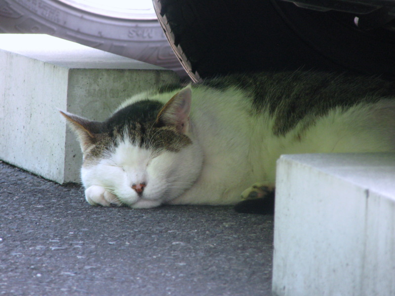 f:id:gae:20090825110830j:image:w400