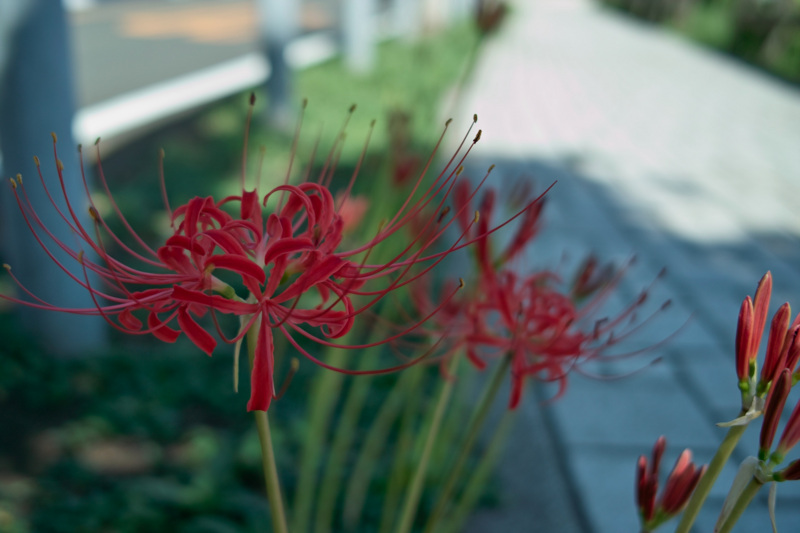 f:id:gae:20090920124117j:image:w400