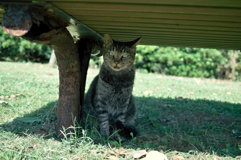 f:id:gae:20090920134901j:image:w400