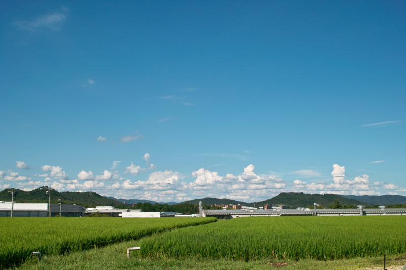 f:id:gae:20100808155914j:image