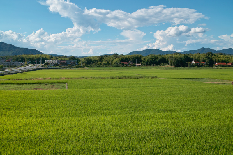 f:id:gae:20100808163021j:image