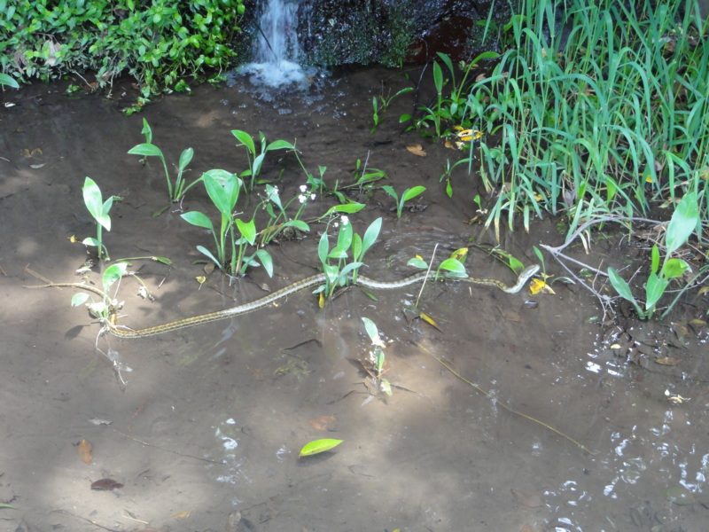 f:id:gae:20120511114559j:image