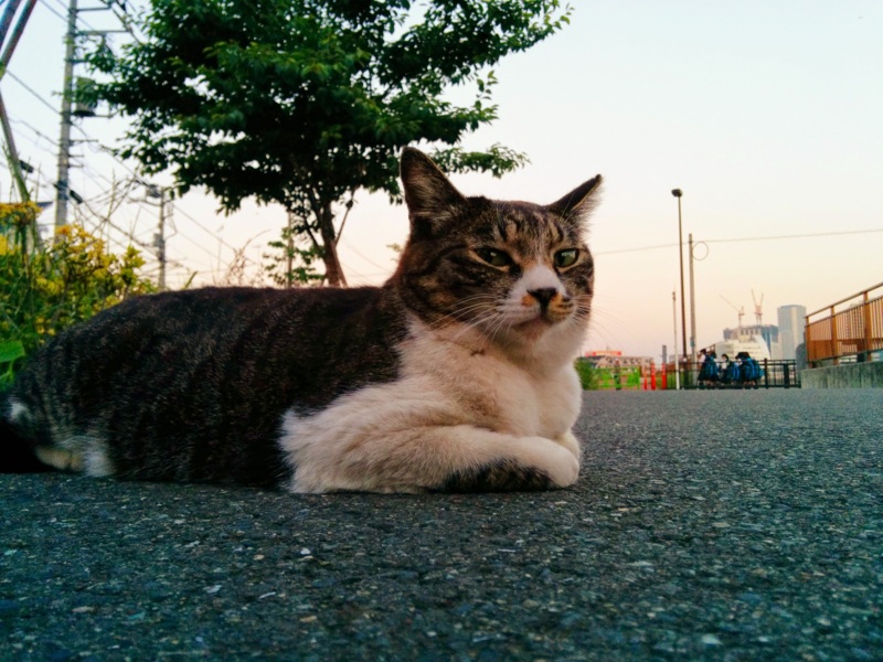 f:id:gae:20140601184604j:image:w400