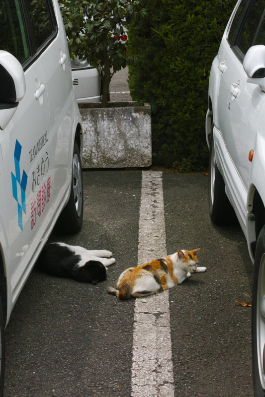 f:id:gae:20140706131204j:image