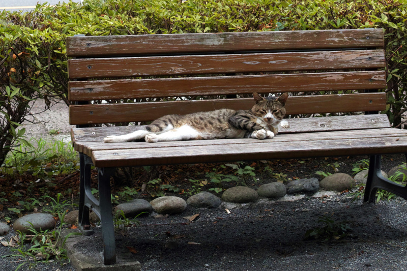 f:id:gae:20140721160755j:image