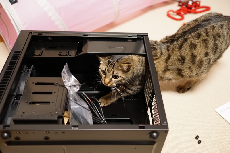 f:id:gae:20151119212118j:image:w400