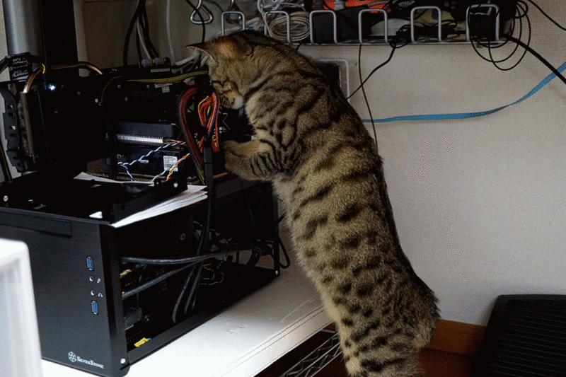 f:id:gae:20151129165641g:image:w400