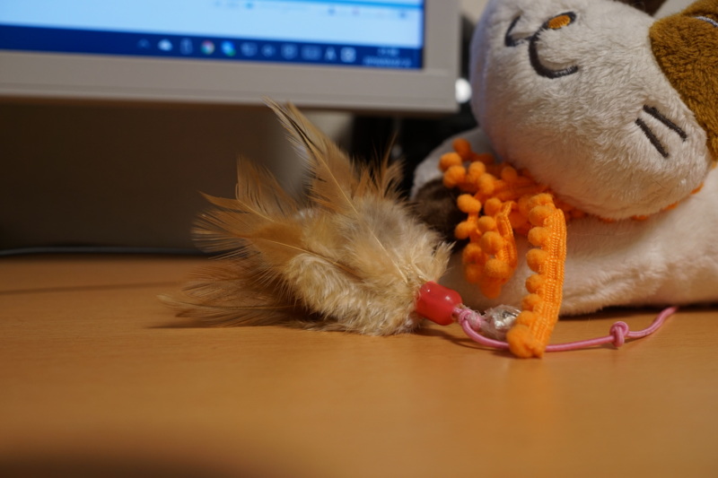 f:id:gae:20160322214132j:image:w300