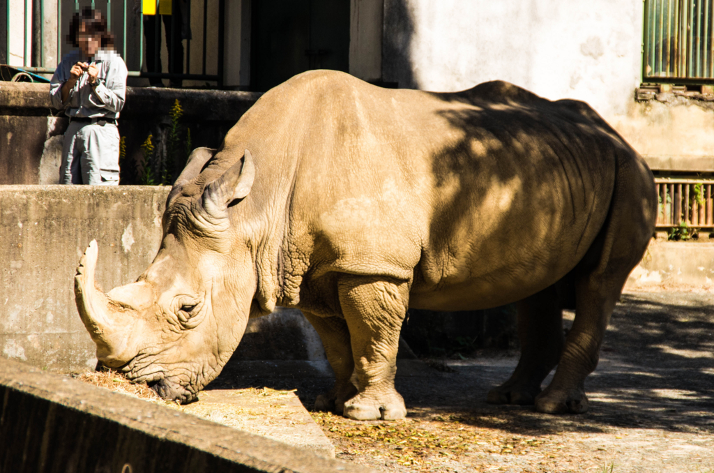 f:id:gaen:20161010220047j:plain f:id:gaen:20161010220047j:plain