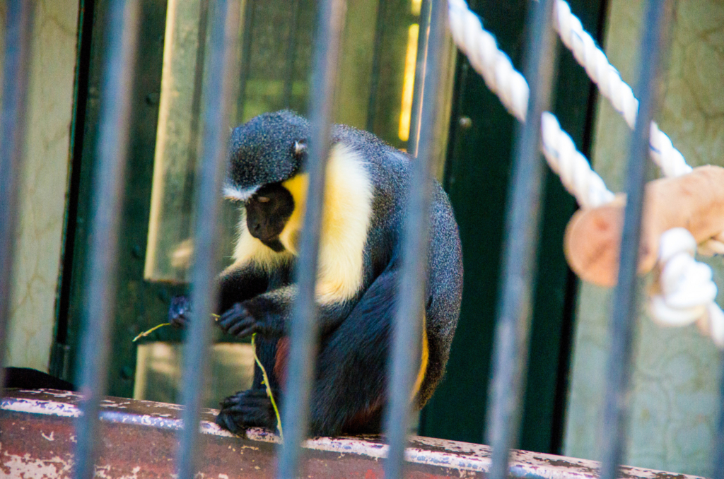 f:id:gaen:20161010221000j:plain f:id:gaen:20161010221000j:plain