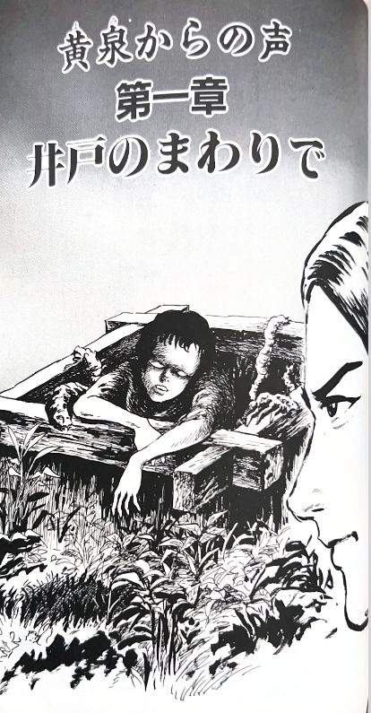 黄泉からの声』〈妖怪ハンター〉諸星大二郎 その2 - ガエル記