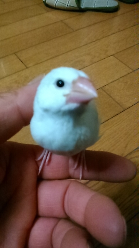イメージ 1