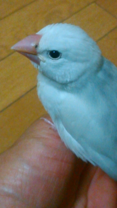 イメージ 3