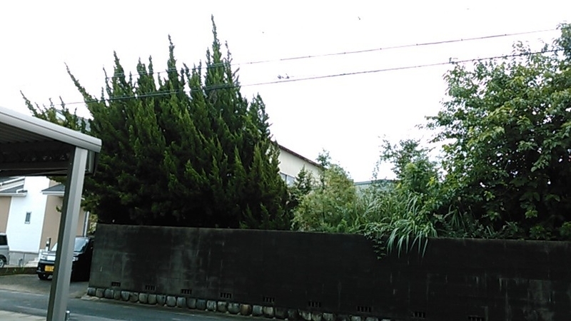 イメージ 2