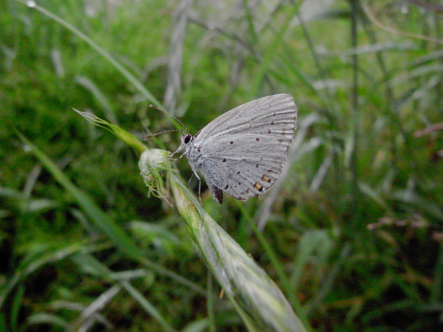 f:id:gagambow23:20120522212750j:image:w360 f:id:gagambow23:20120522212750j:image:w360