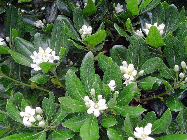 f:id:gagambow23:20120523221404j:image:w360 f:id:gagambow23:20120523221404j:image:w360