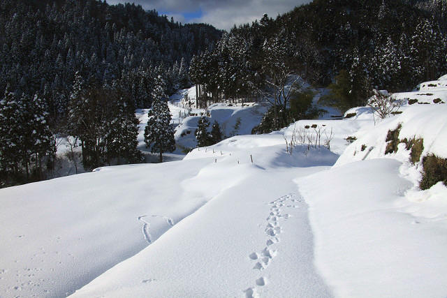 f:id:gagambow23:20141218235749j:image:w360 f:id:gagambow23:20141218235749j:image:w360