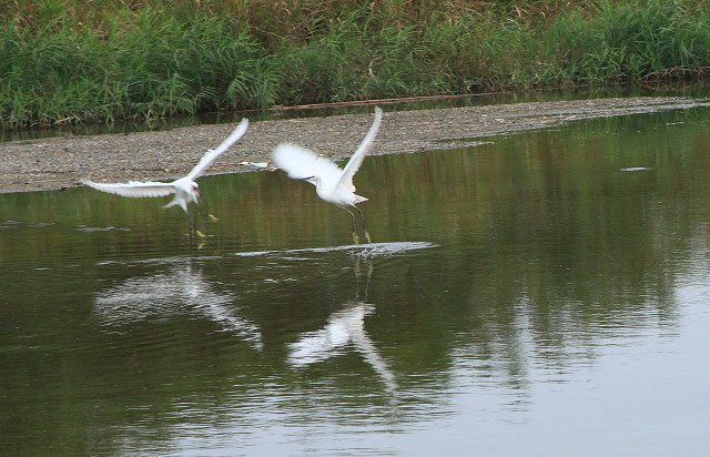 f:id:gagambow23:20151010225240j:image:w360 f:id:gagambow23:20151010225240j:image:w360