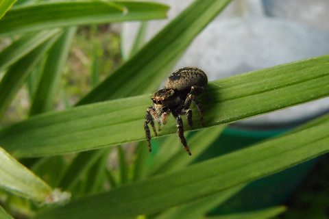 f:id:gagambow23:20160524211049j:image f:id:gagambow23:20160524211049j:image