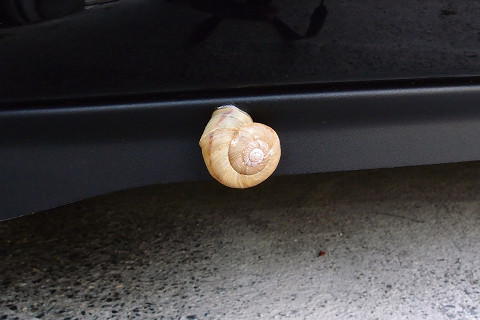 f:id:gagambow23:20160601223915j:image f:id:gagambow23:20160601223915j:image