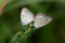 20161002002040