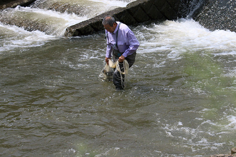 f:id:gagambow23:20170703160727j:image