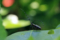 20180624160655