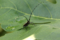 20180624160704