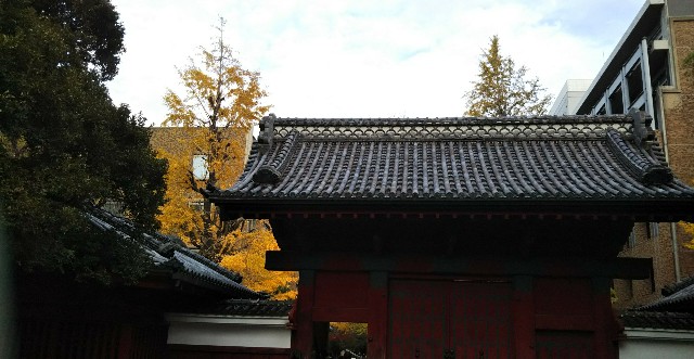 f:id:gaganbox:20181211113754j:image