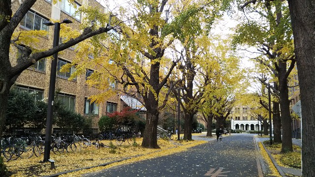 f:id:gaganbox:20181211113857j:image