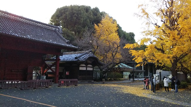 f:id:gaganbox:20181211114052j:image