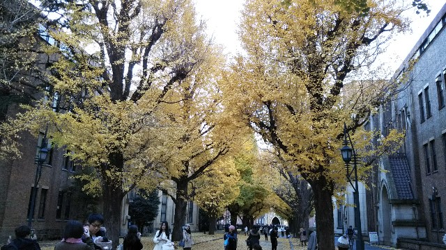 f:id:gaganbox:20181211114234j:image