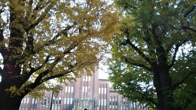 f:id:gaganbox:20181211114421j:image