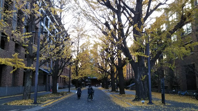 f:id:gaganbox:20181211115047j:image