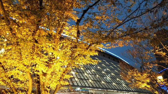 f:id:gaganbox:20181220220932j:image