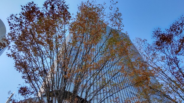 f:id:gaganbox:20211106093537j:image