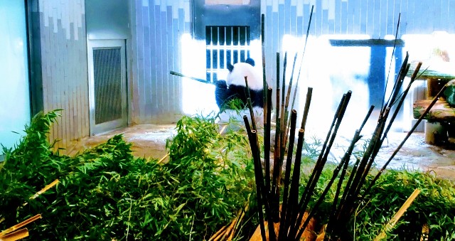 f:id:gaganbox:20221127063753j:image f:id:gaganbox:20221127063753j:image