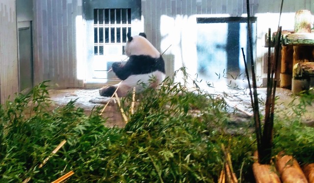 f:id:gaganbox:20221127063806j:image f:id:gaganbox:20221127063806j:image