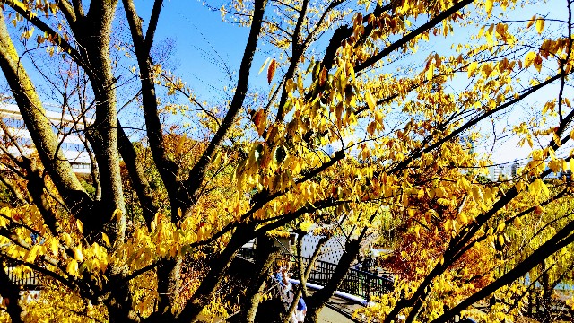 f:id:gaganbox:20221127063839j:image f:id:gaganbox:20221127063839j:image