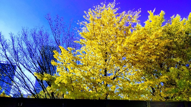 f:id:gaganbox:20221127063855j:image f:id:gaganbox:20221127063855j:image