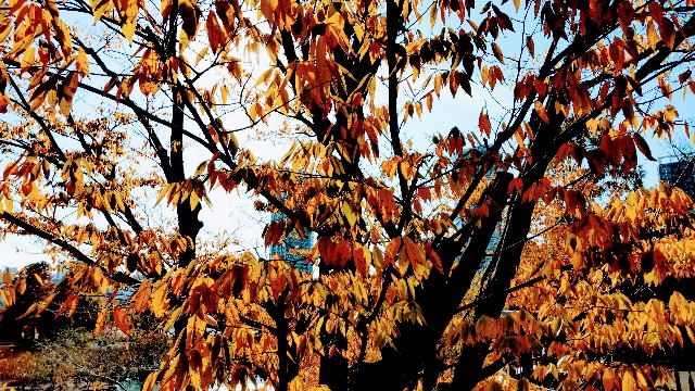 f:id:gaganbox:20221127063910j:image f:id:gaganbox:20221127063910j:image